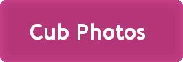 Cubs Photos